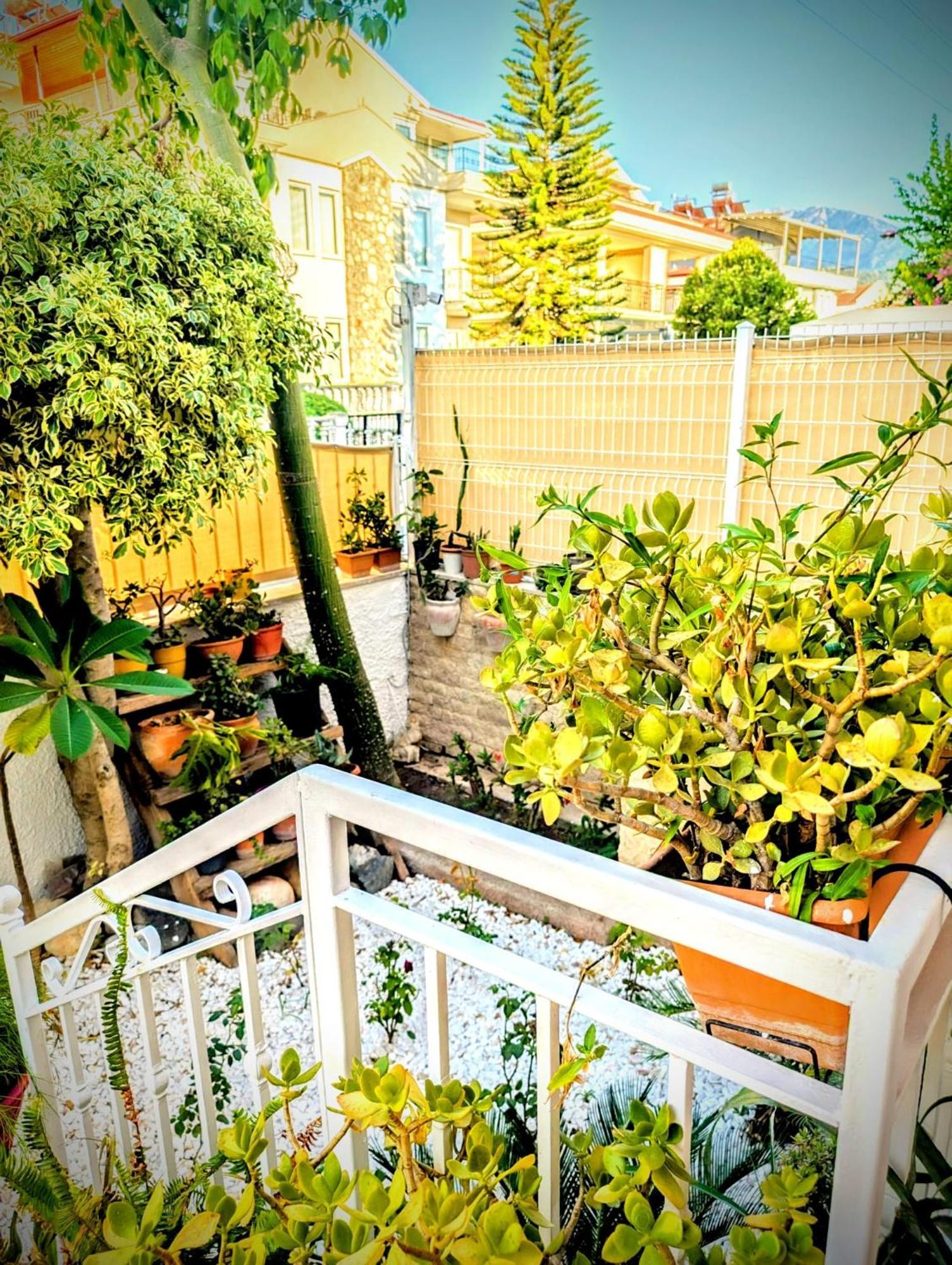 Villa Atlas Fethiye Bagian luar foto